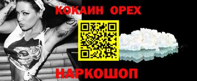 крисы Краснознаменск