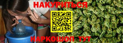 крисы Краснознаменск