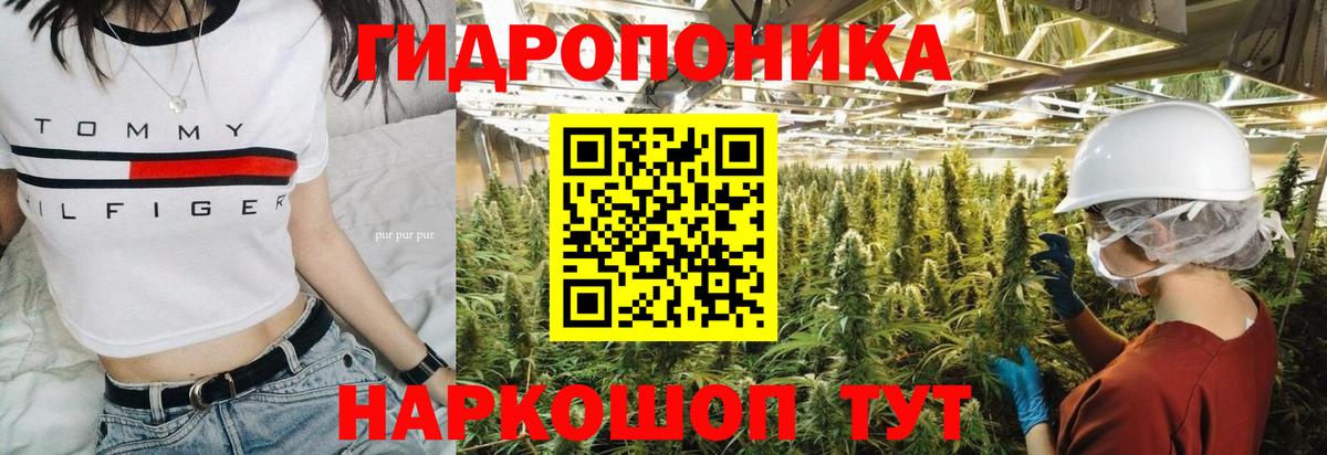 Шишки марихуана сатива Конаково